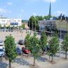 images/Schweden/Schweden 2010/IMG_0038.jpg